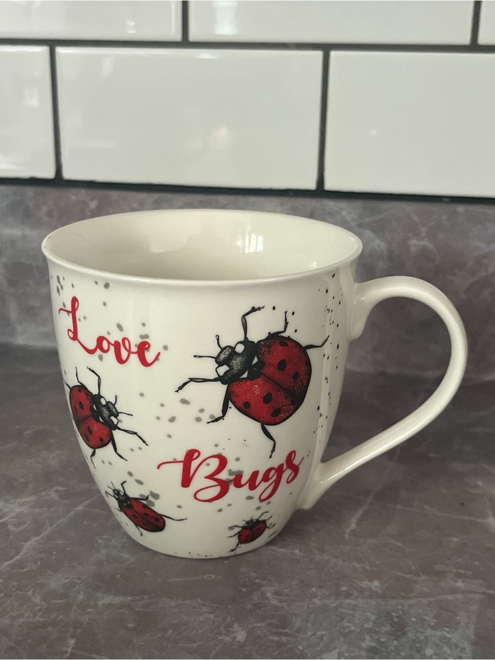 Love Bugs Ladybug Ceramic Coffee Mug Tea Cup